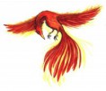 /album/galeria/ave-fenix-jpg3/