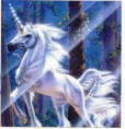 /album/galeria/unicornio-jpg1/